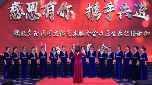 呼市民间文艺团队才艺展示迎新年，组织文化艺术交流活动