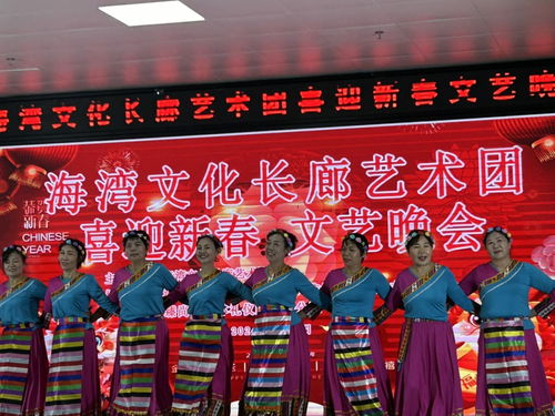 海湾文化长廊艺术团举办“喜迎新春”文艺晚会，共绘文化艺术交流新画卷